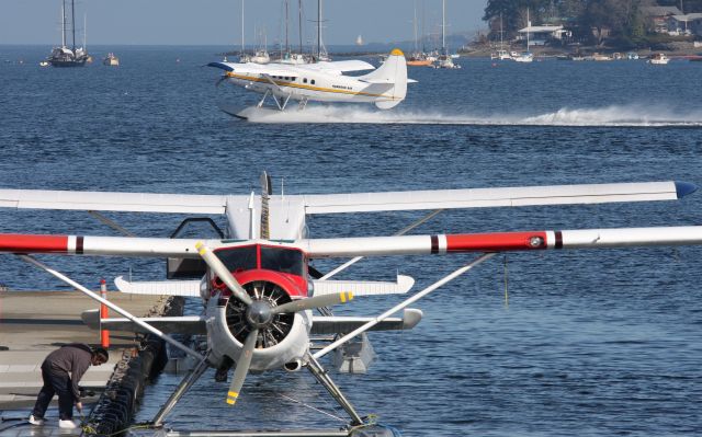 De Havilland Canada DHC-3 Otter (C-FHAD) - Nanaimo BC harbour leaving for Vancouver