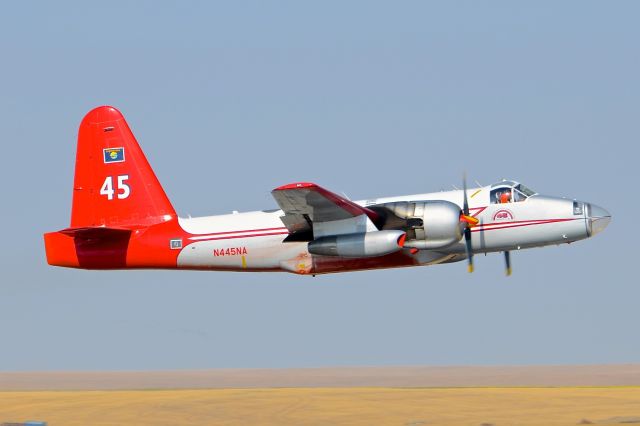 Lockheed P-2 Neptune (N445NA)