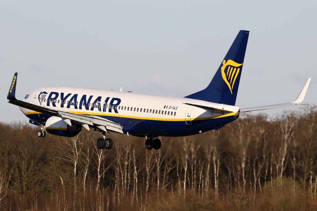 Boeing 737-800 (EI-DLE)