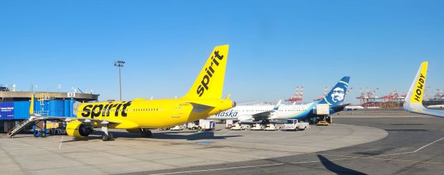 Airbus A320neo (N958NK)