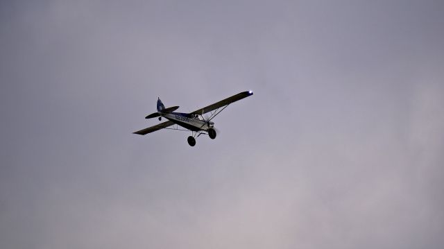 Piper L-21 Super Cub (N82508) - Lake Hood Seaplane Base; Anchorage, Alaska, USA