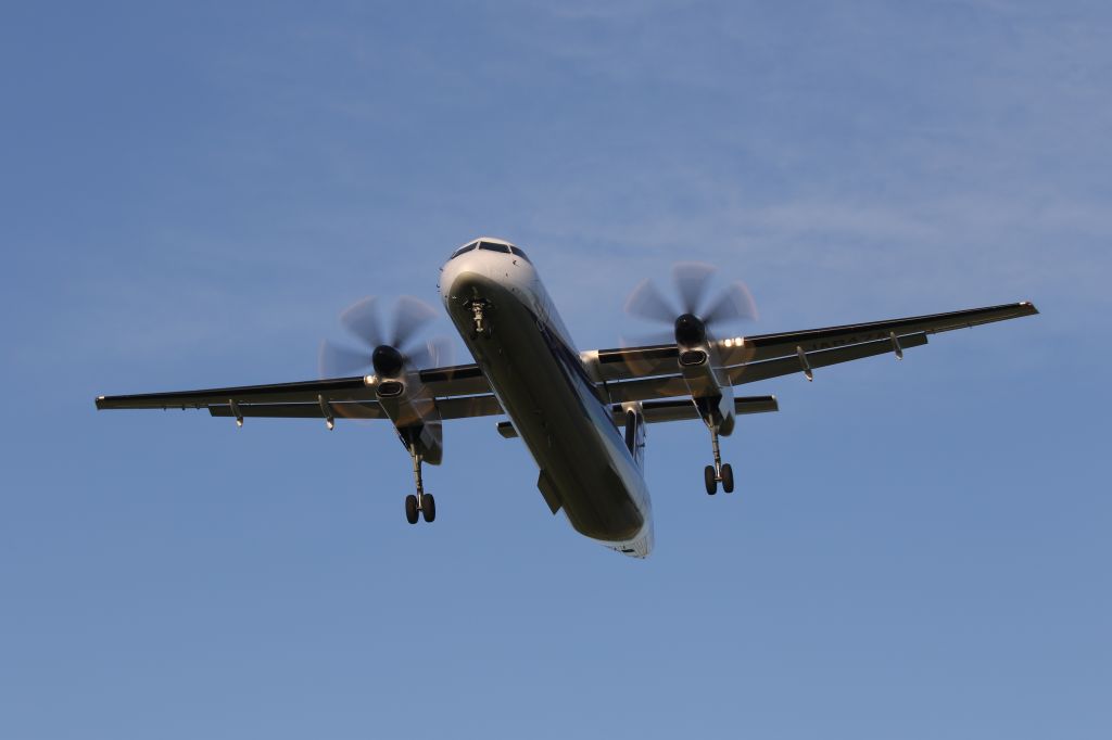 de Havilland Dash 8-400 (JA847A) - July 01, 2024:CTS-HKD.
