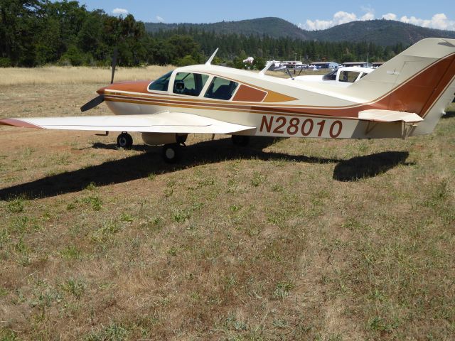 BELLANCA Viking (N28010) - 2015 Bellanca-Champion Club Fly-In - Columbia, CA