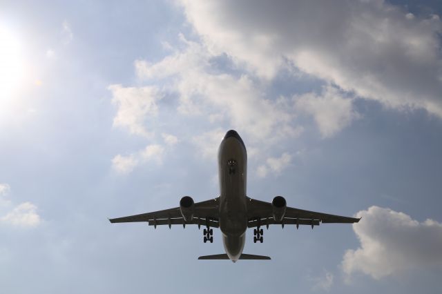 Airbus A330-300 (B-6501)