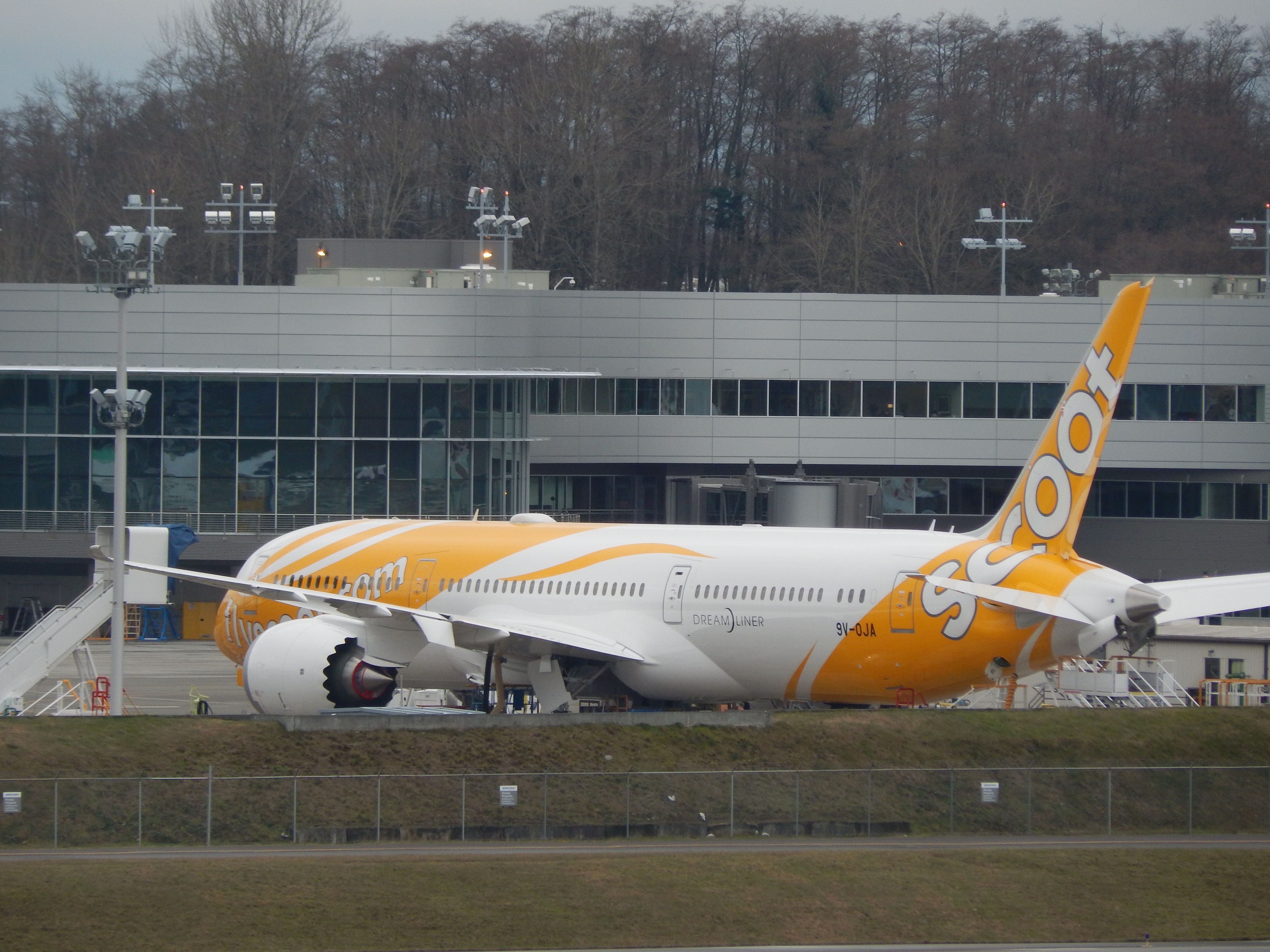 Boeing 787-9 Dreamliner (9V-OJA) - Scoots first 787 before delivery. December 23, 2014