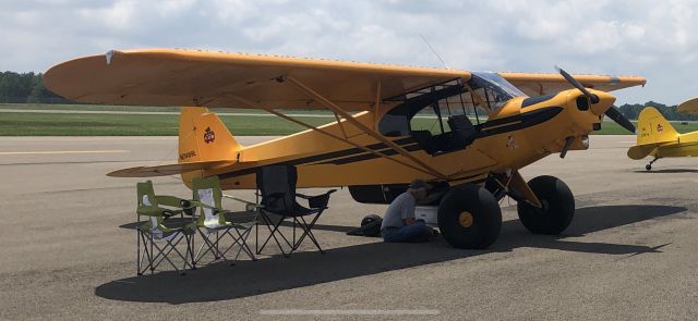 Piper L-21 Super Cub (N7469L) - zanesville airport 75th anniversary fly in 