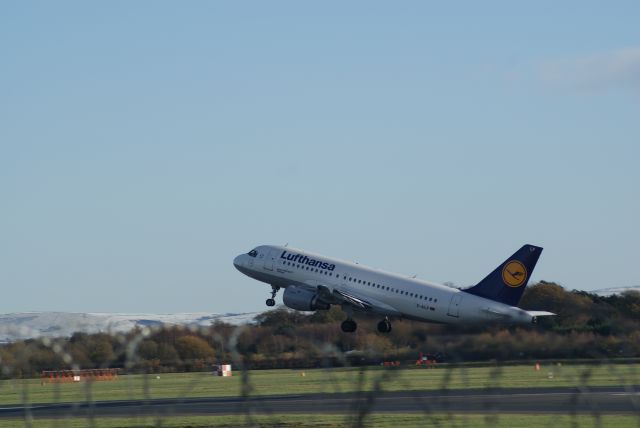 BOEING 737-300 (D-AILP) - Lufthansa A319-114 cn717