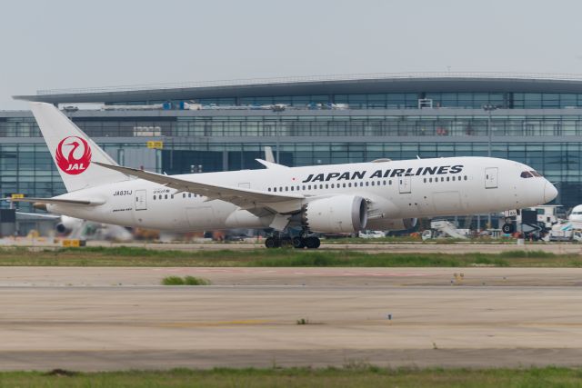 Boeing 787-8 (JA831J) - japan airlines‘ 788 departure from zspd-17.05.19