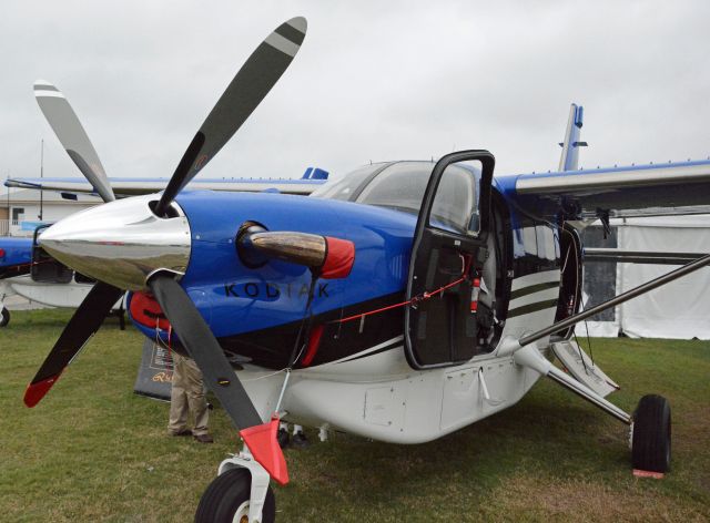 Quest Kodiak (N69KQ)