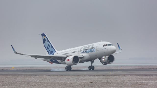 Airbus A319 (D-AVWA)