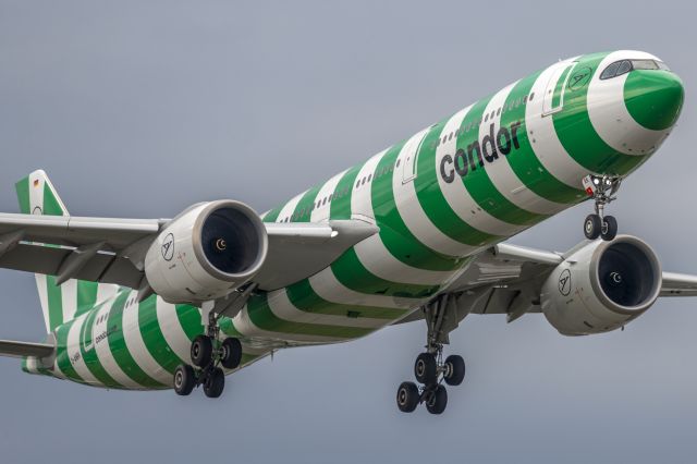 Airbus A330-900 (D-ANRK) - Late evening arrival