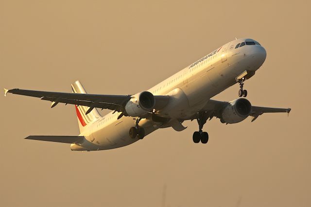 Airbus A321 (F-GTAK)