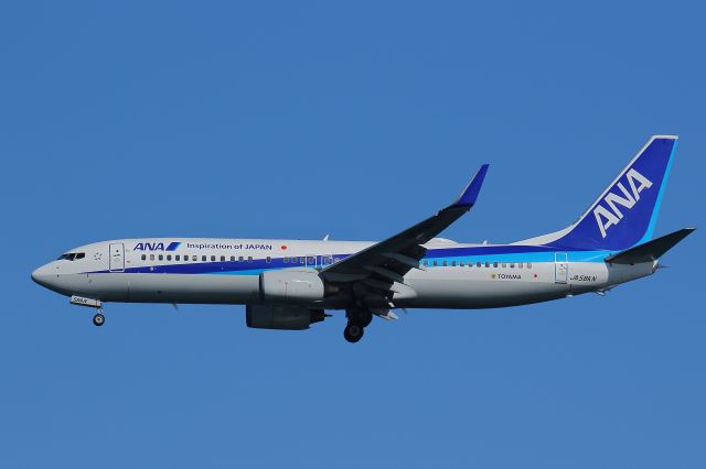 Boeing 737-800 (JA58AN)