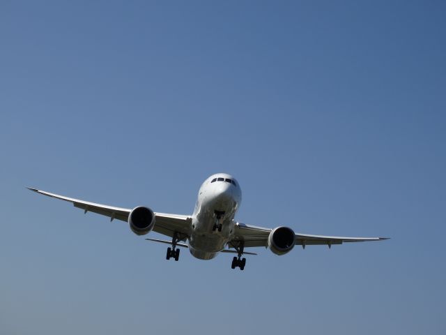 Boeing 787-8 (JA802A) - Landing at Taipei.