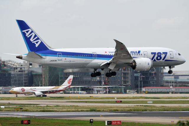 Boeing 787-8 (JA803A)