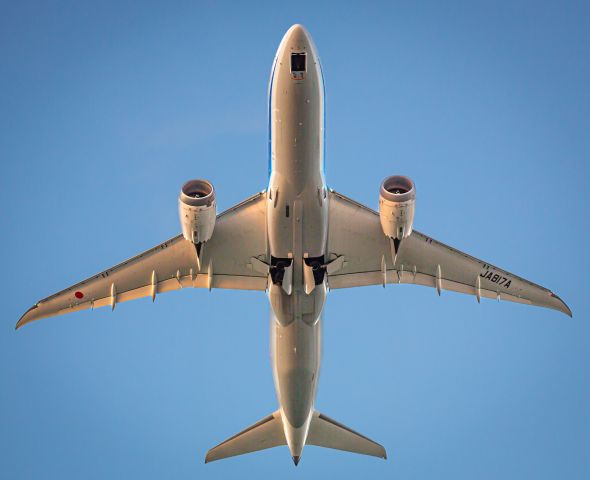 Boeing 787-8 (JA817A)