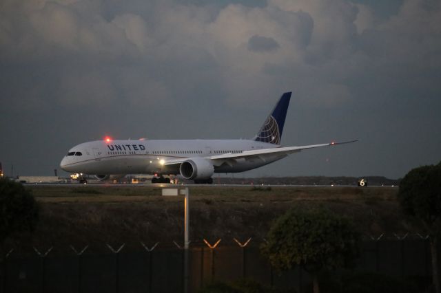 Boeing 787-9 Dreamliner (N19951)