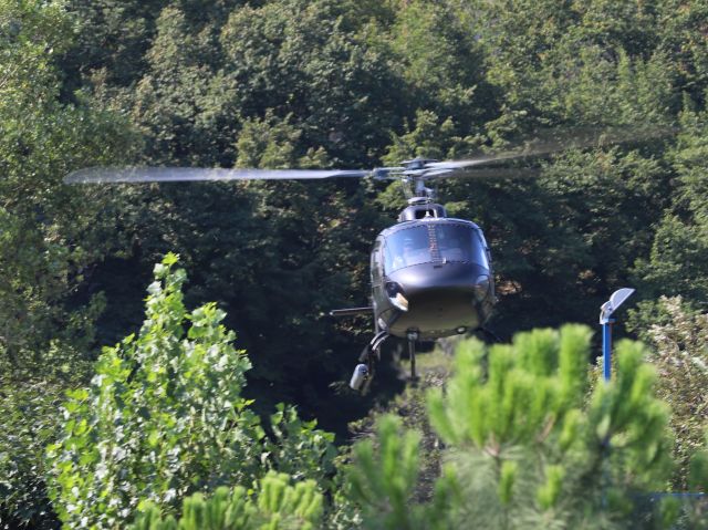 F-HRCD — - Landing to " Muratoglu academy" Sophia-Antipolis . The pilot is my son