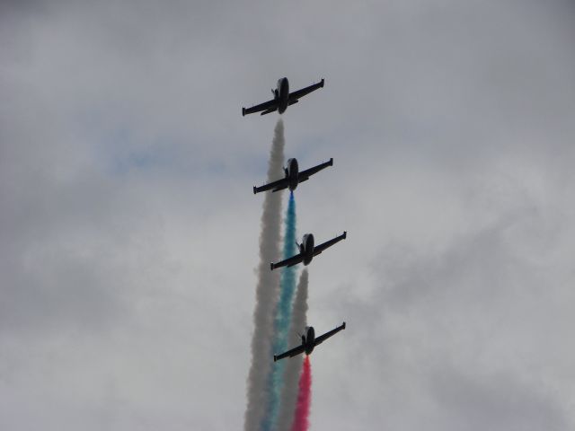 Aero L-39 Albatros — - MCAS Miramar Airshow 2007  San Diego, CA  Patriots Jet Team!