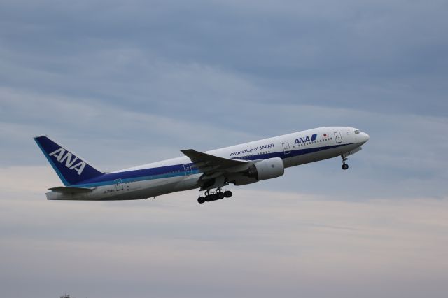 Boeing 777-200 (JA704A) - 01 August 2015:HKD-HND.