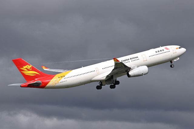 Airbus A330-300 (B-8678)