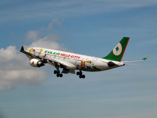 Airbus A330-200 (B-16311)