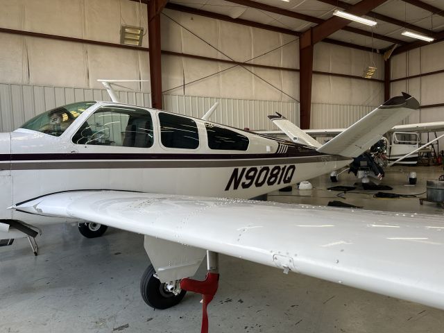 N9081Q —