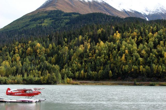 Piper L-21 Super Cub (N3899P) - Upper Trail Lake, Moose Pass, Alaska