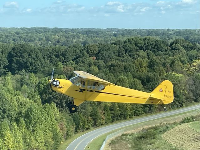 Piper NE Cub (NC1502N)