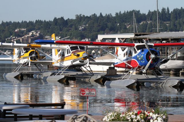 De Havilland Canada DHC-2 Mk1 Beaver (N57576)