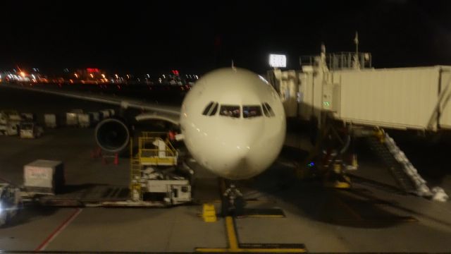 Airbus A330-300 (N809NW) - This Delta Airlines Airbus A330-300 is preparing for the LONG 8 hour 44 minute flight to SãoPaulo (GRU) Guarulhos Int'l Airport in São Paulo, Brasil as flight DL269 