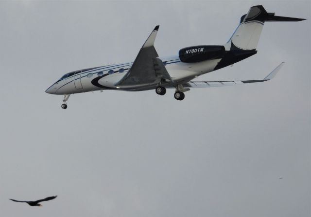 Gulfstream Aerospace Gulfstream G650 (N780TW) - Taken from pier in Naples Florida as flight landed in Naples Airport.