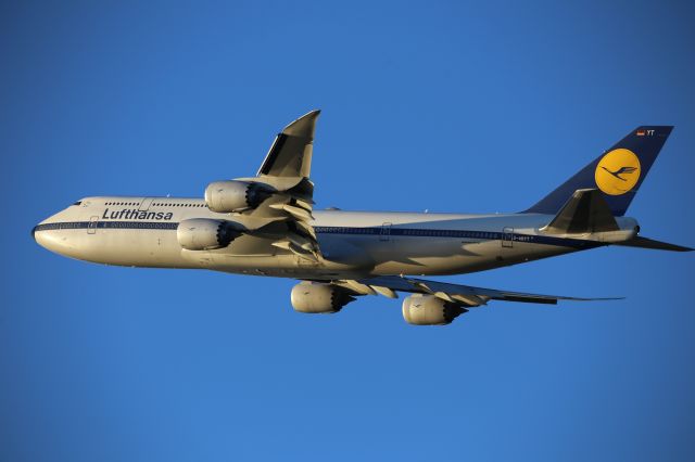 BOEING 747-8 (D-ABYT)