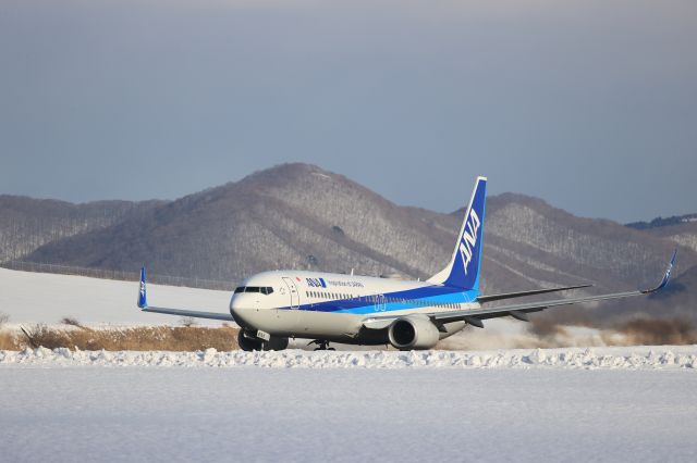 Boeing 737-800 (JA87AN) - January 21, 2023:HKD-ITM.