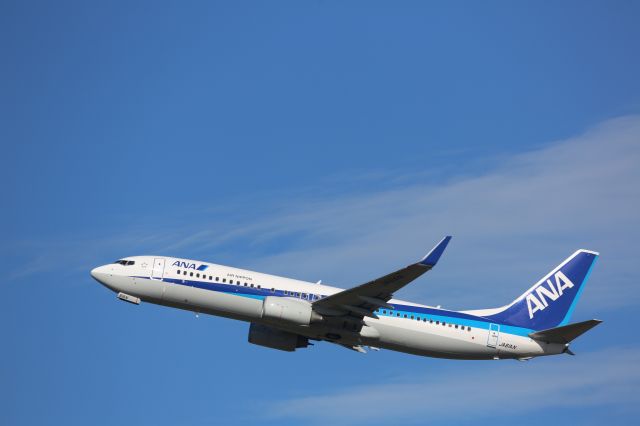 Boeing 737-800 (JA61AN)