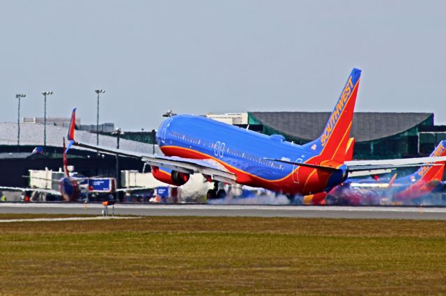 Boeing 737-800 — - Sort of high flare angle?