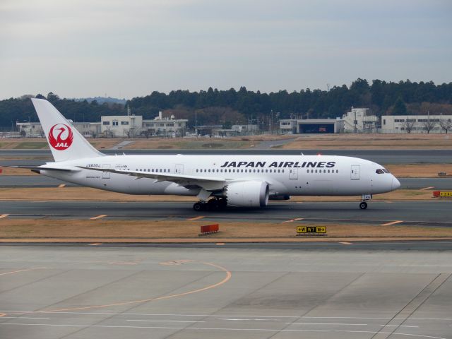 Boeing 787-8 (JA830J)
