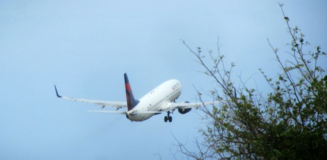 Boeing 737-800 (N391DA)