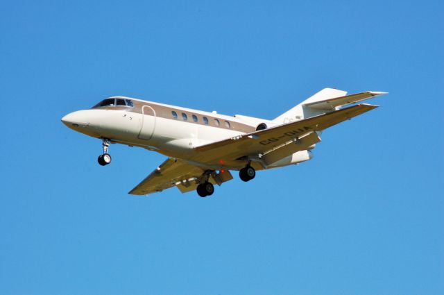 Hawker 800 (CS-DUA)