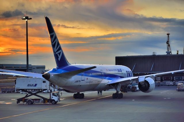 Boeing 787-8 (JA807A) - At sunrise