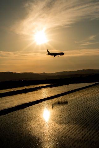 Airbus A321 (B-2290)