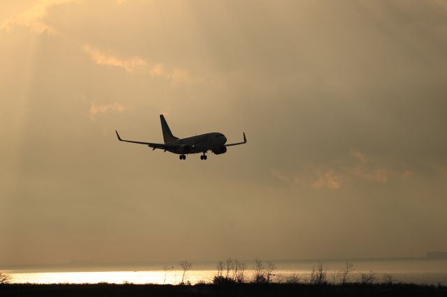 Boeing 737-700 (JA08AN) - December 17th 2018:HND-HKD.