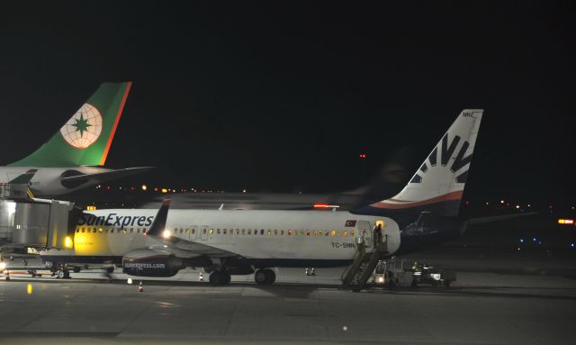 Boeing 737-800 (TC-SNN) - SunExpress Boeing 737-800 TC-SNN in Vienna 