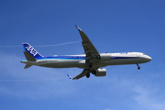Airbus A321 (JA133A) - July 24th 2020:HND-HKD.