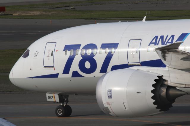 Boeing 787-8 (JA817A) - 09 May 2015