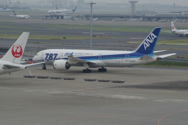 Boeing 787-8 (JA817A) - All Nippon Airways B787-881 cn34486