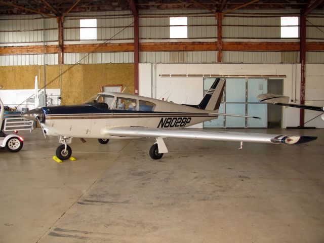 Piper PA-24 Comanche (N8028P)