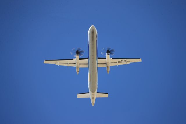 de Havilland Dash 8-400 (JA848A) - August 23rd 2020:CTS-HKD. 