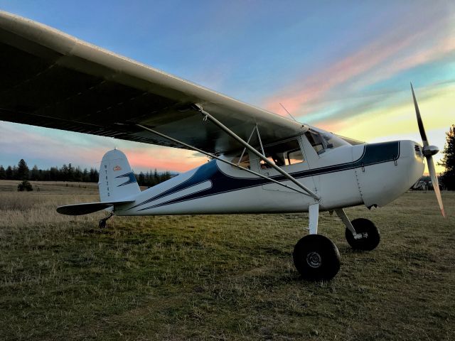 Cessna 140 (N76240) - Grass stip landing at Radial Flyer PVT strip