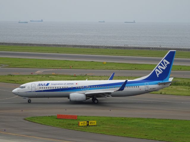 Boeing 737-800 (JA53AN)